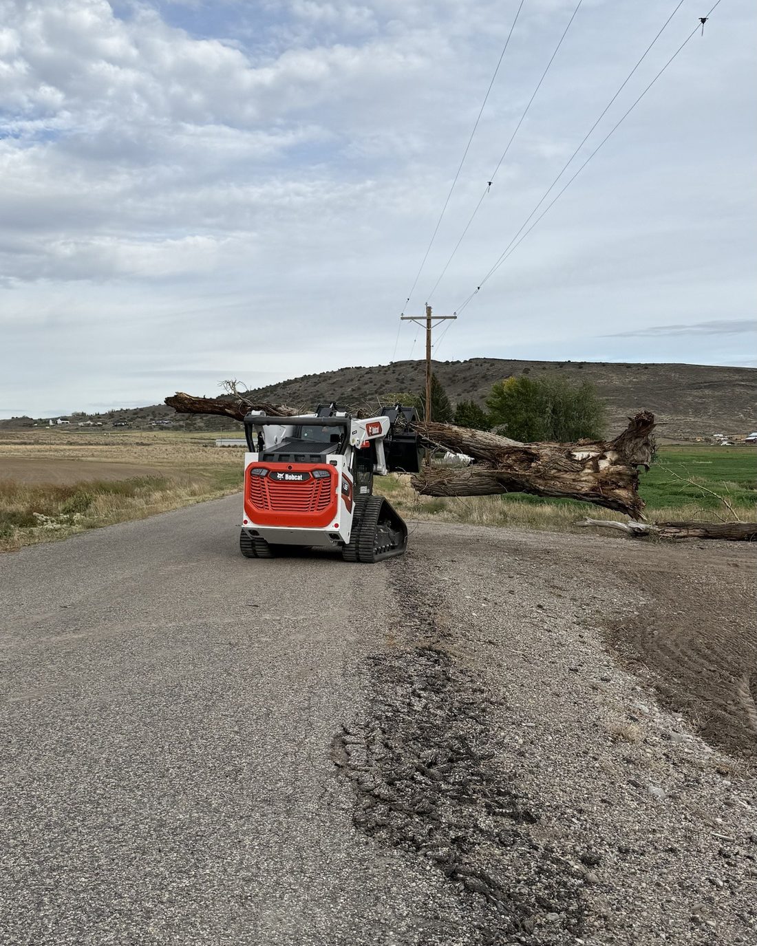Dead tree cleared from along a rural road with the skid steer and grapple