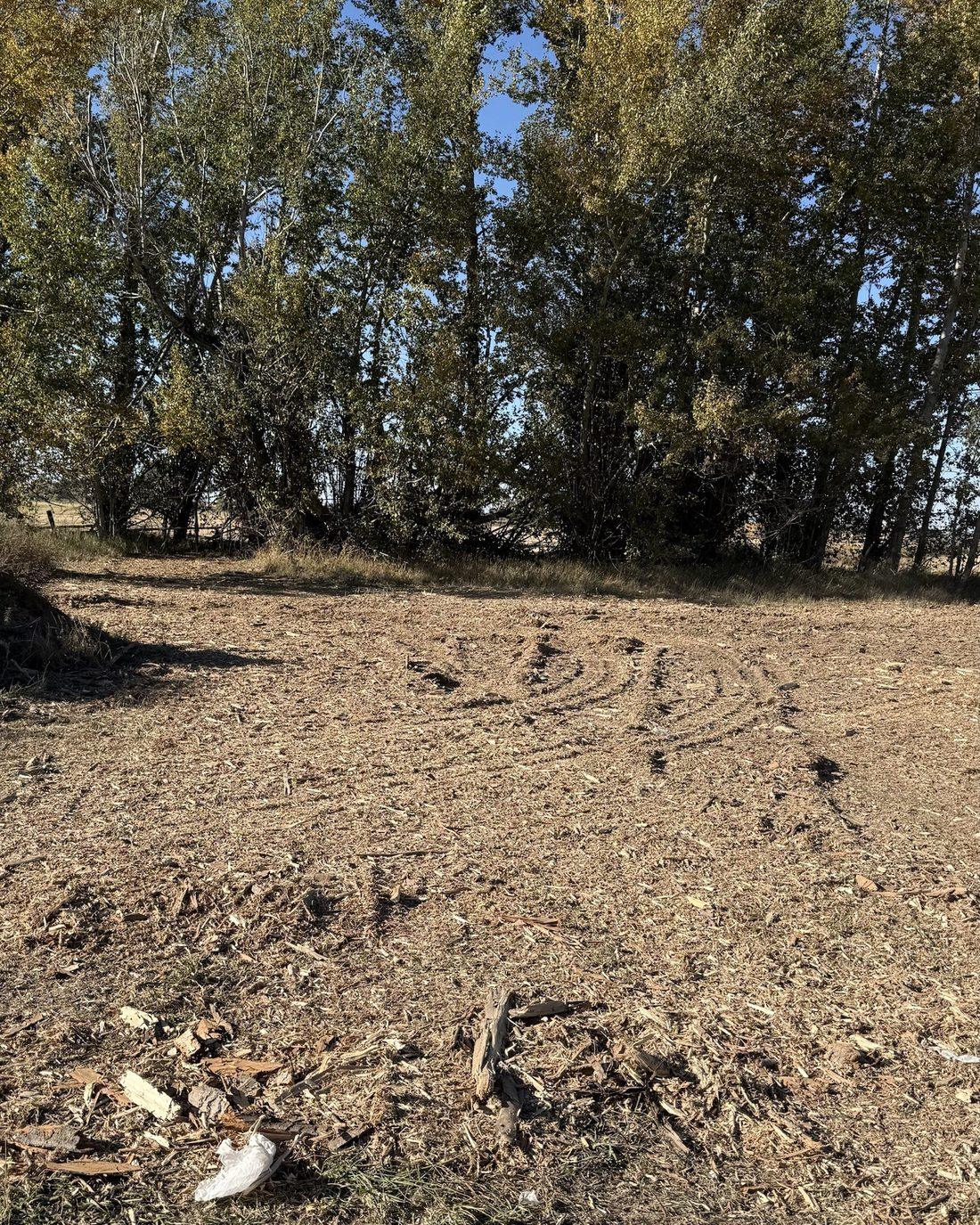After: the same spot mulched in place and left level