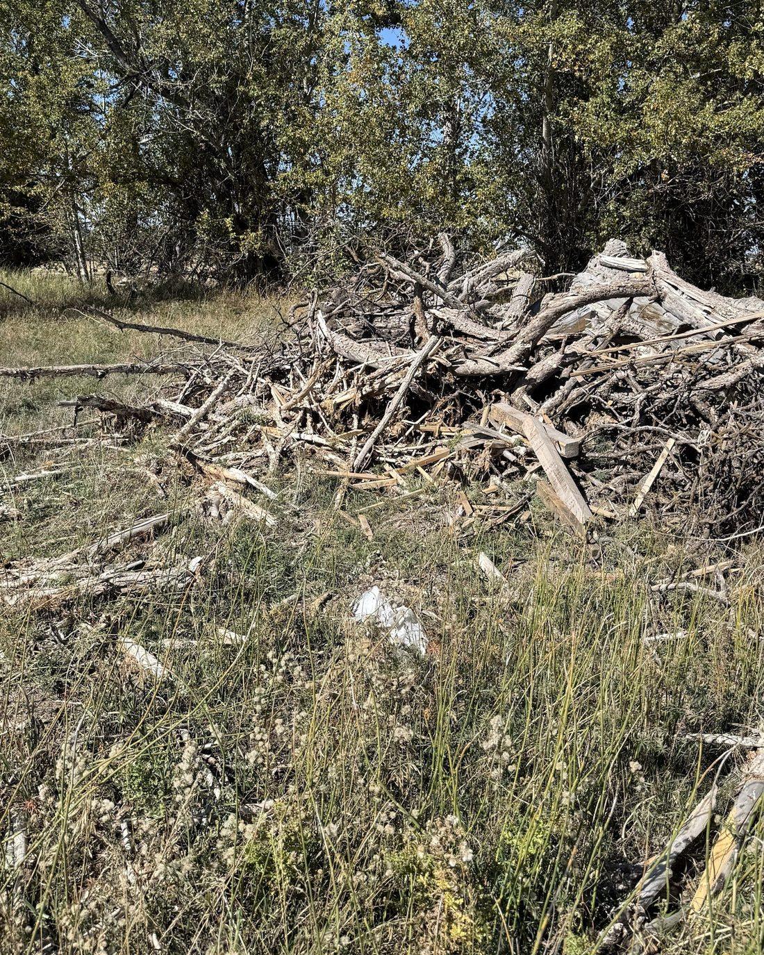 Before: a big pile of dead cottonwood and brush