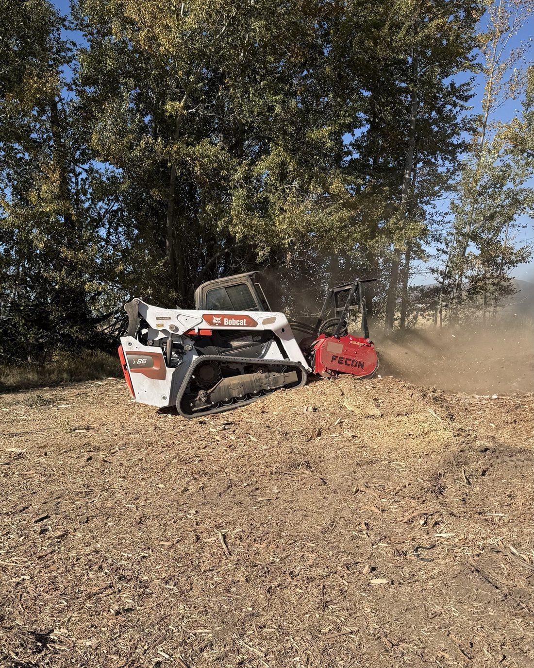 Skid steer with a forestry mulcher grinding brush and deadfall under the trees
