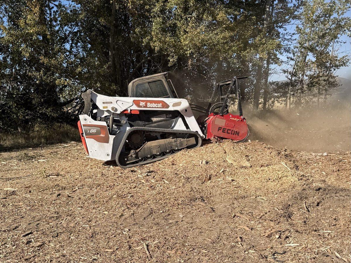 Skid steer with a forestry mulcher grinding brush under the trees